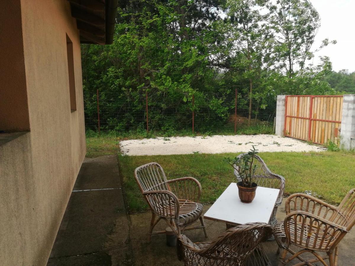 Vizaknai Apartmanhaz Szekesfehervar Exterior photo